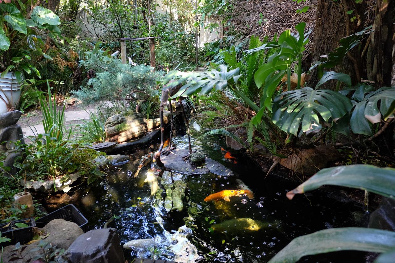 Jambo Guest House Cape Town Exterior foto